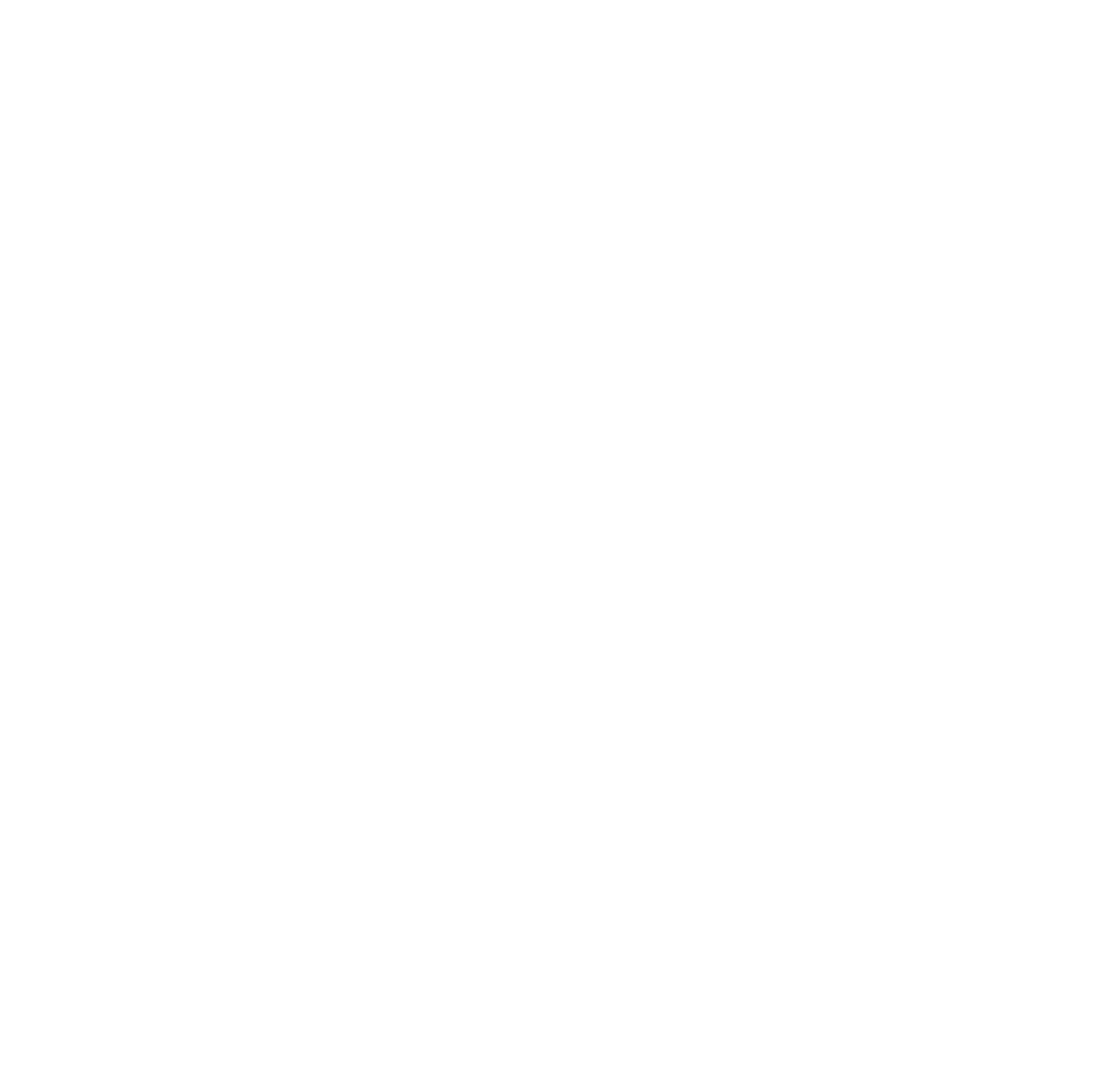 Believe Pole Dance Studio Logo